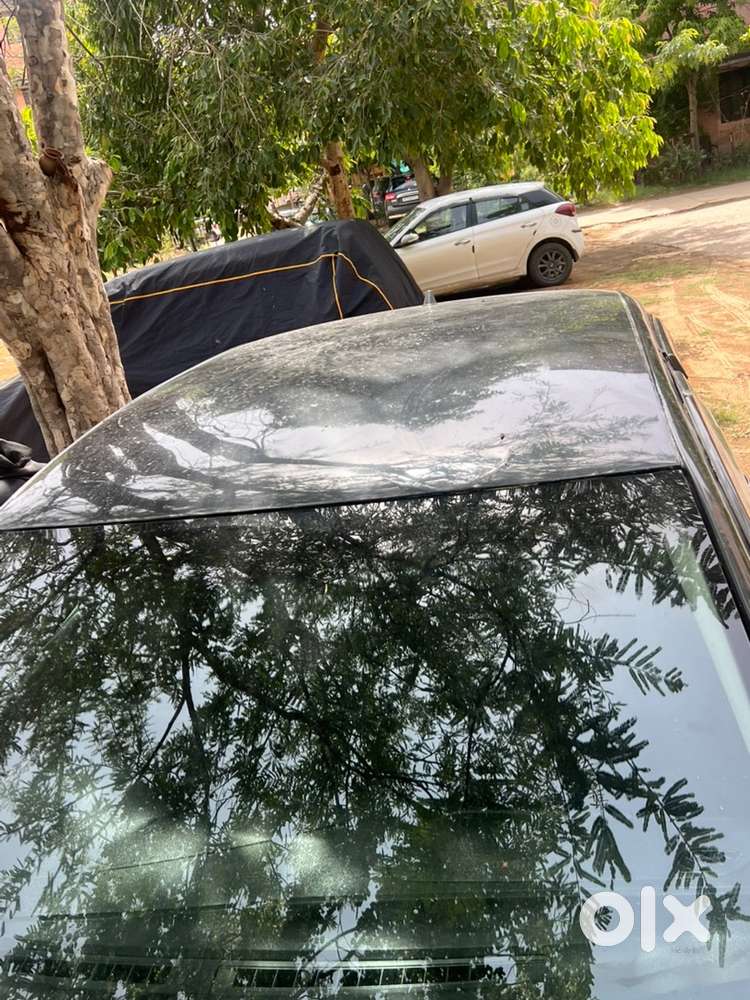 Volkswagen Polo Petrol 2016 Car