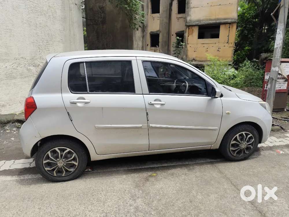 Mint Condition Celerio