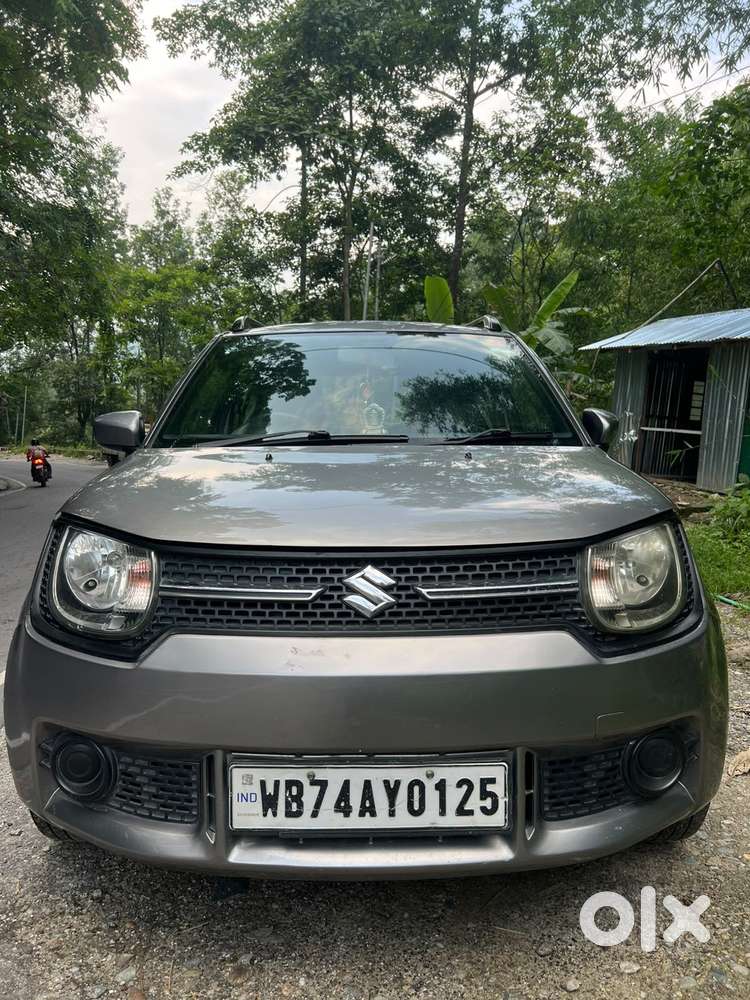 Maruti Suzuki Ignis 1.2 Alpha Mt, 2019, Petrol