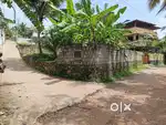 Pappanamcode poozhikunnu 10 Cent house plot 8 lakhs Cent lorry site