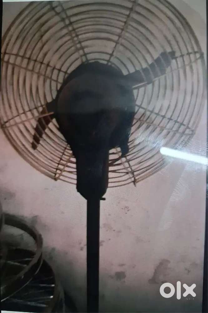 Farrata Fan