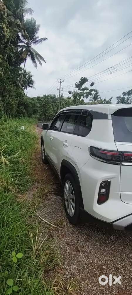 Maruti Suzuki Grand Vitara 2024 December