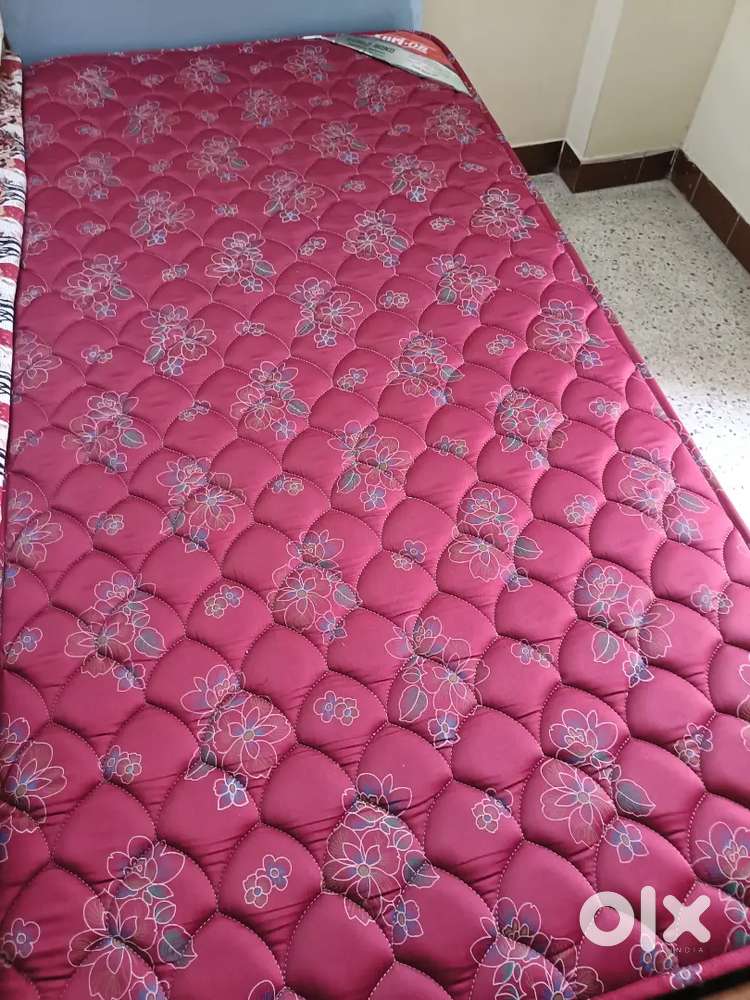 Kurl on beds