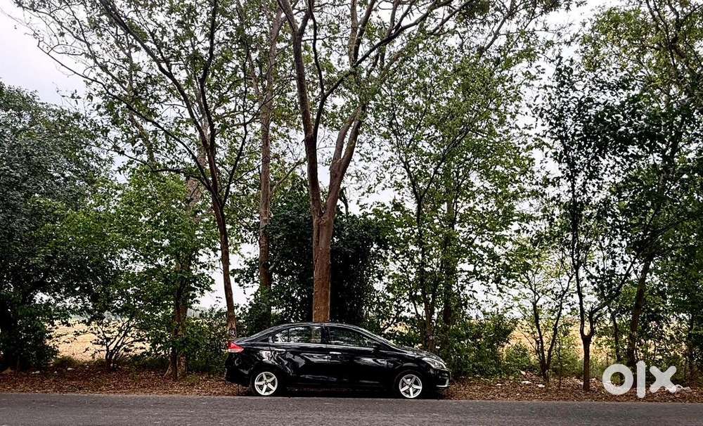 Maruti Suzuki Diesel 2014