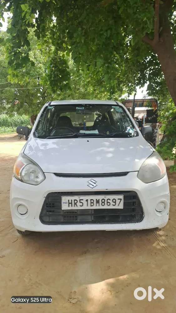 Alto 800 Modal 2017