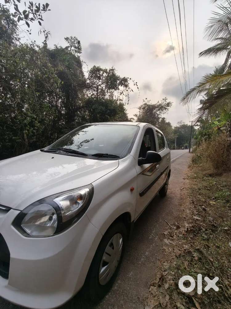 Alto 800 Perfect Condition