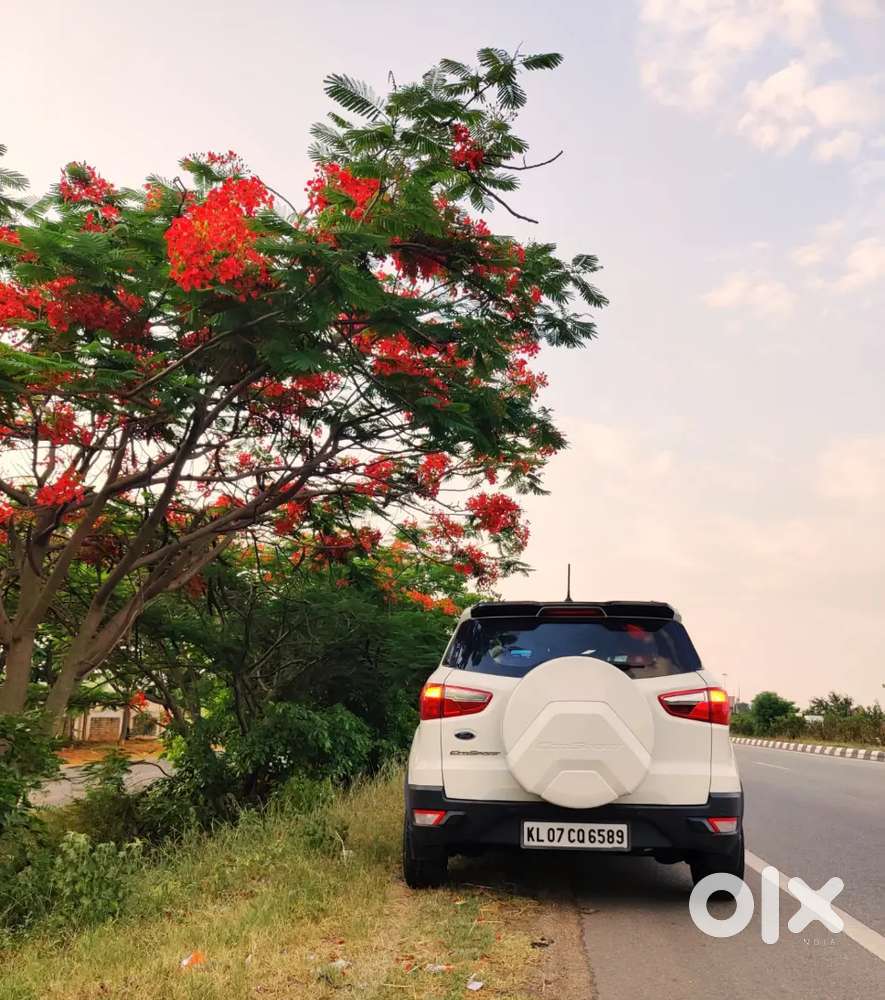 Ford Ecosport 2019 Petrol 55k Driven Dual Tone+ Alloy