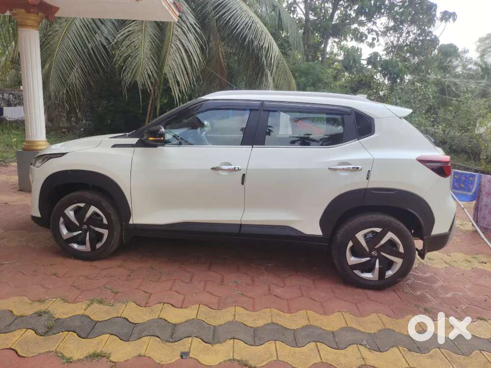 Need Electric Car For Exchange