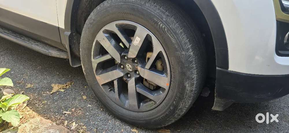 Tata Safari Gold Edition Top Model Automatic  6 Seater  2022