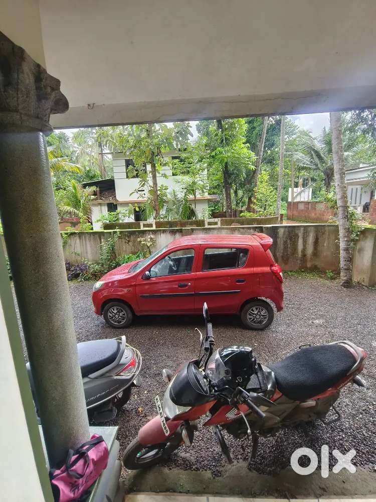 Alto 800,lxi,