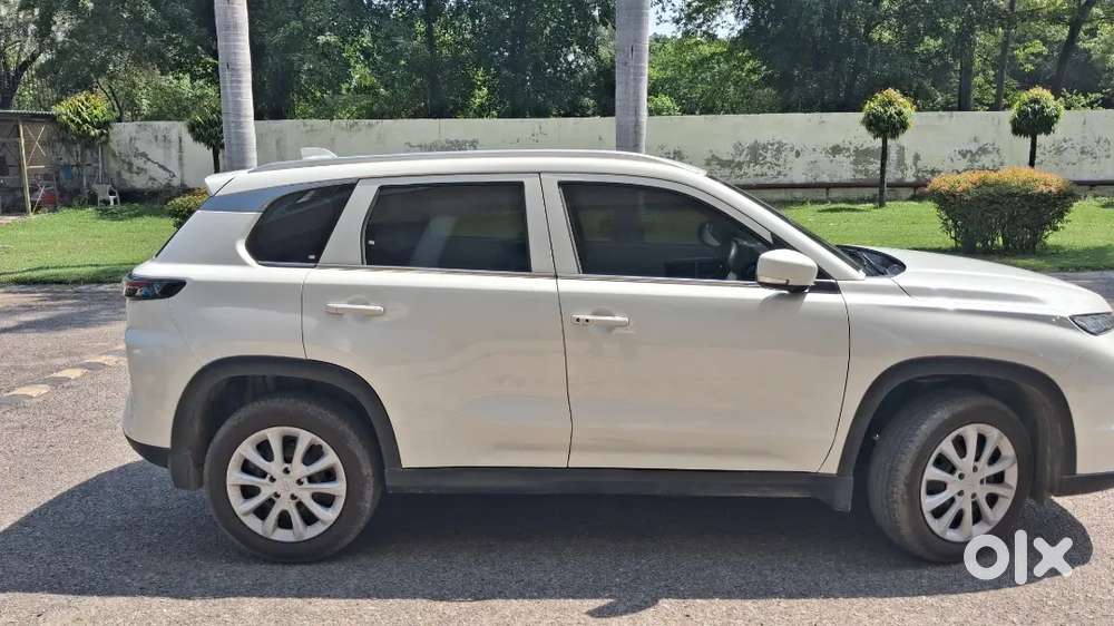 Grand Vitara Sigma White 3 Month Old