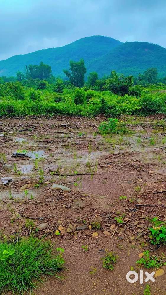 NA PLOT FOR SALE IN SANQUELIM, HARVALEM, AREA 200SQMTS, @₹16900/SQMTS