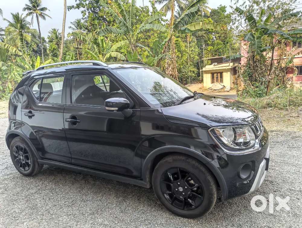 Maruti Suzuki Ignis 2025 Petrol 4000 Km Driven