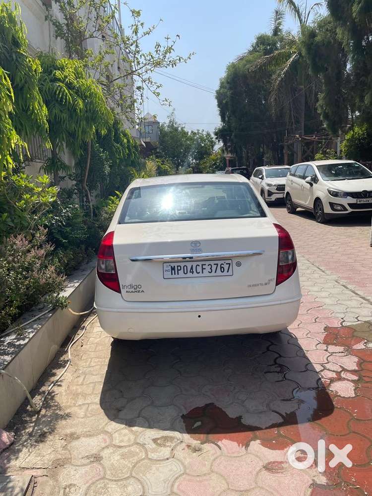 Tata Petrol Car 2010