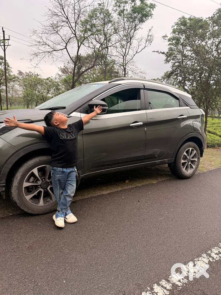 Tata Petrol Manual 2020