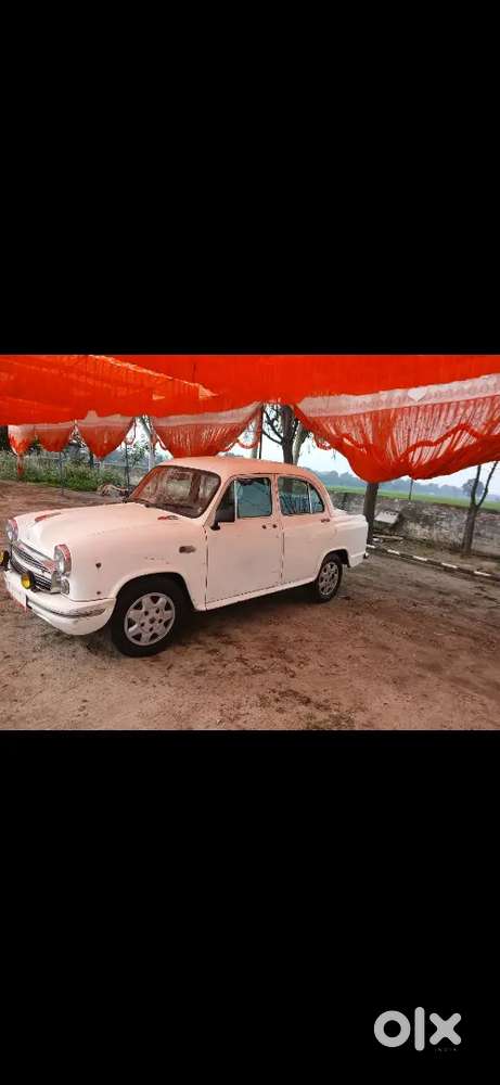 Ambassador Ambassador 2011