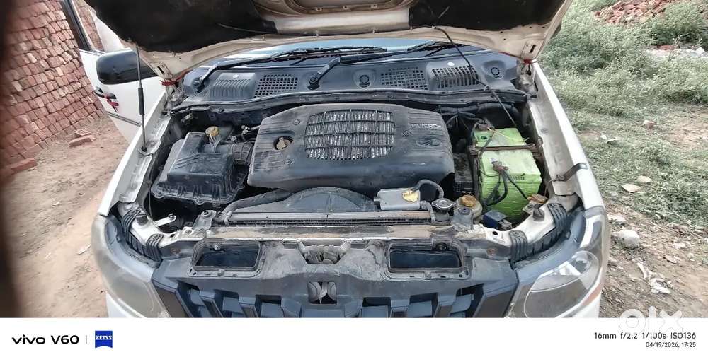 Xylo 2015 Argent Sell