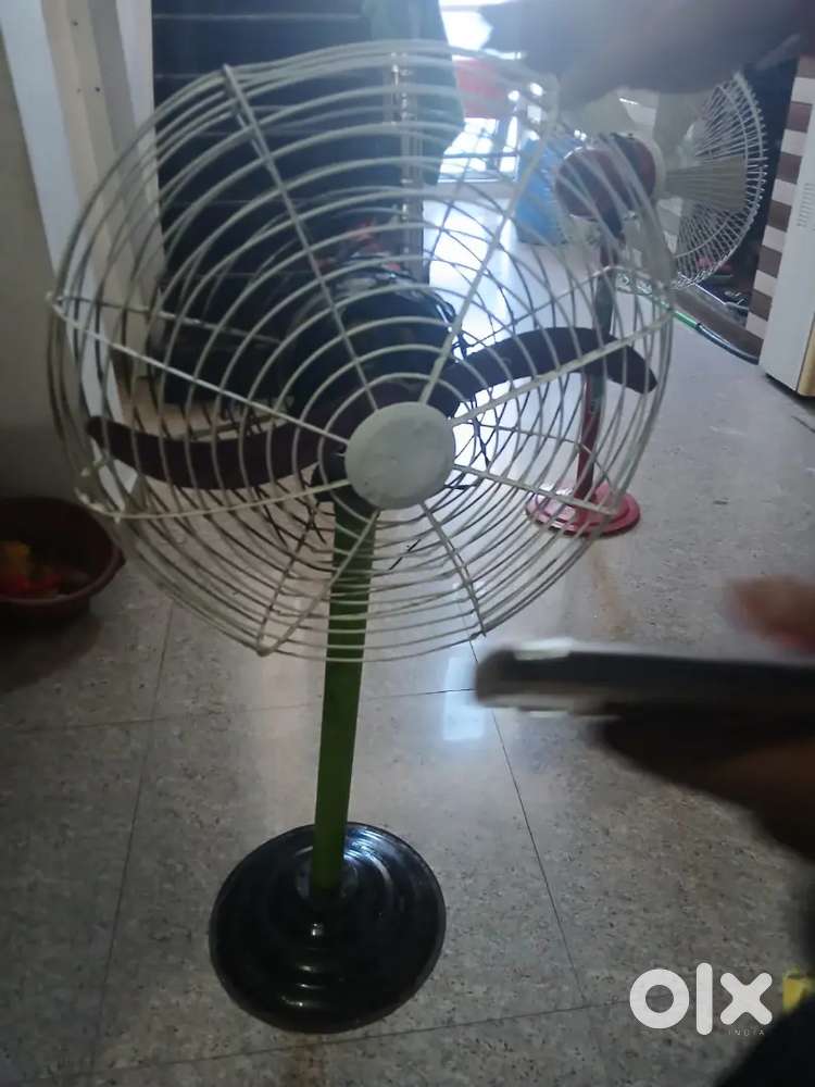 Parota fan.copper motor