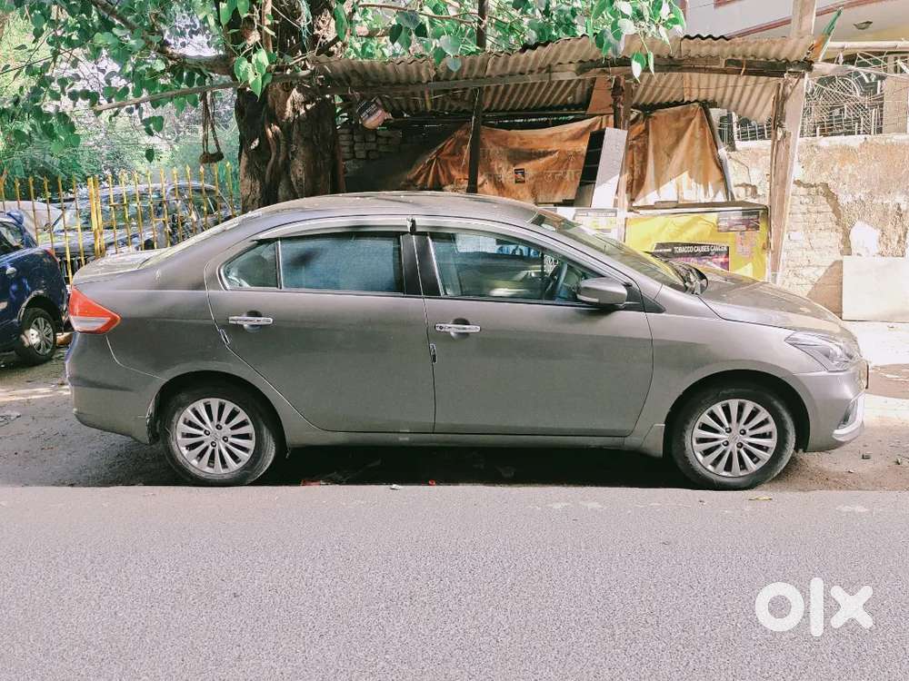 Ciaz Delta 2019
