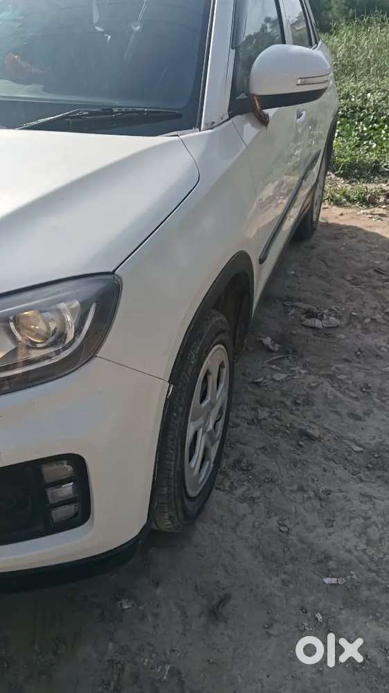 Brizza 2022 Cng