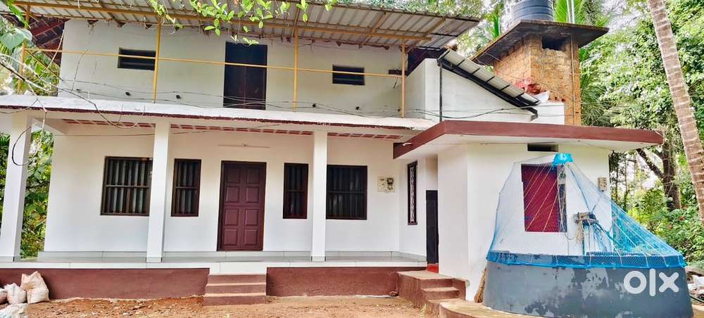Recently Renovated 3 BHK Independent House in Ponniam, Thalassery