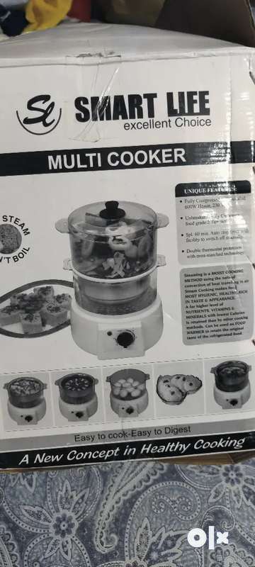 Multicooker and steamer Kitchen Other Appliances 1761026096