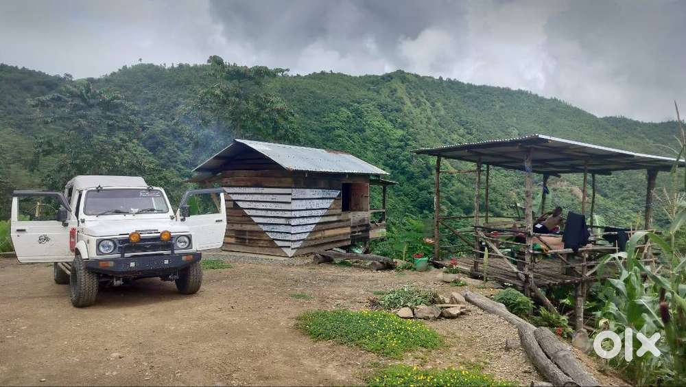 Urgent Sale Fully Modified 4/4 Gypsy King Euro Iii