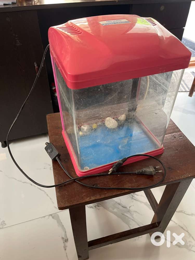 Fish Aquarium