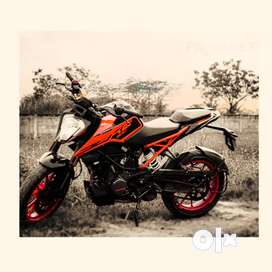 Olx discount duke 250