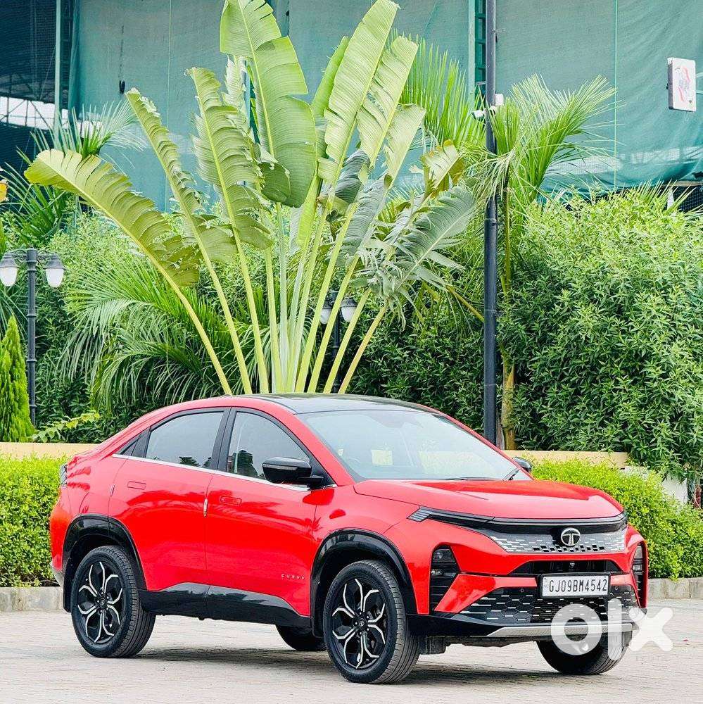 Tata Curvv Accomplished Plus A 1.5 Kryojet Diesel 6mt, 2024, Diesel