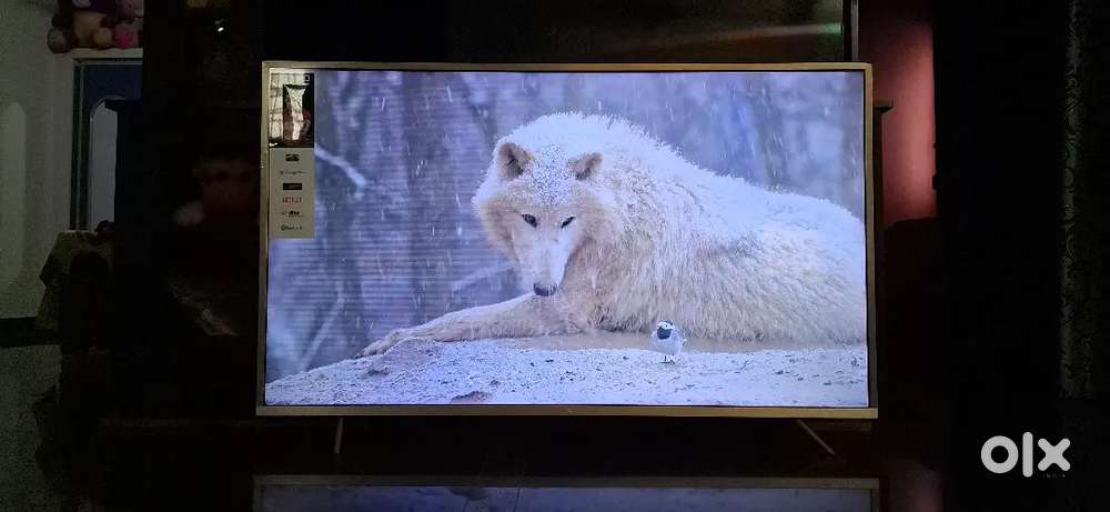 TCL 55 inch TV