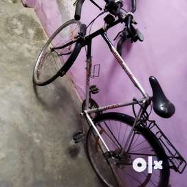 Racing cycle olx sale