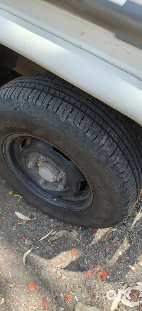 फक्त घरगुती वापरलेली