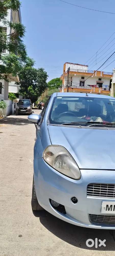 All Pepper Clear Rr 2030