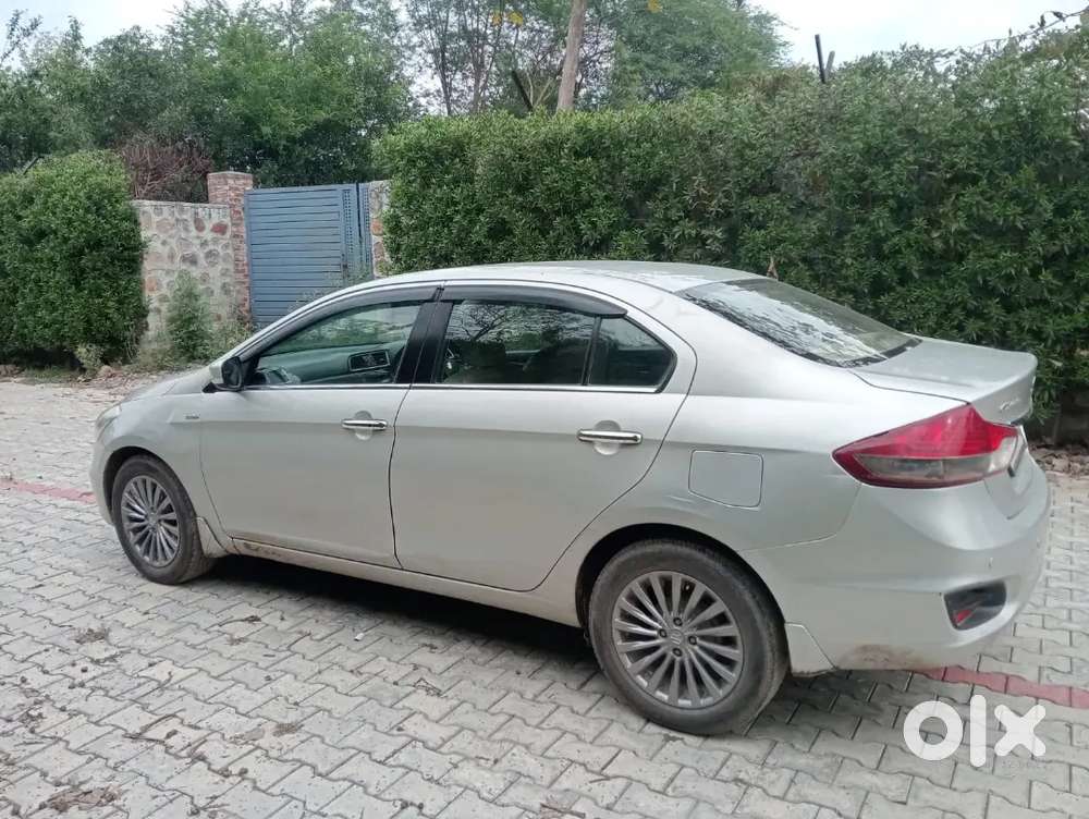 Maruti Suzuki Ciaz 2017 Diesel Well Maintained