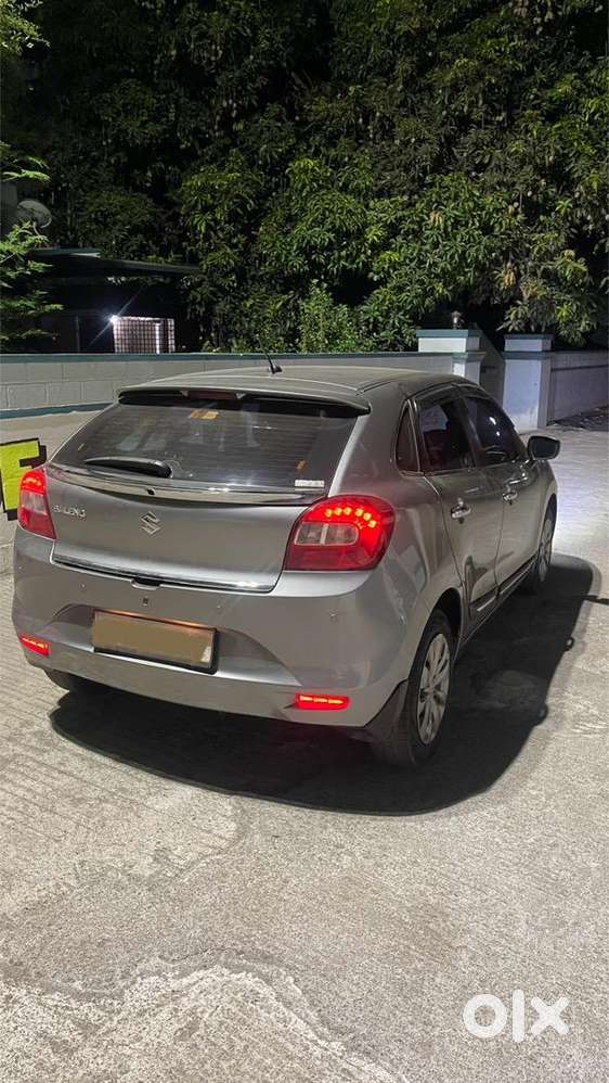 Excellent Body Condition