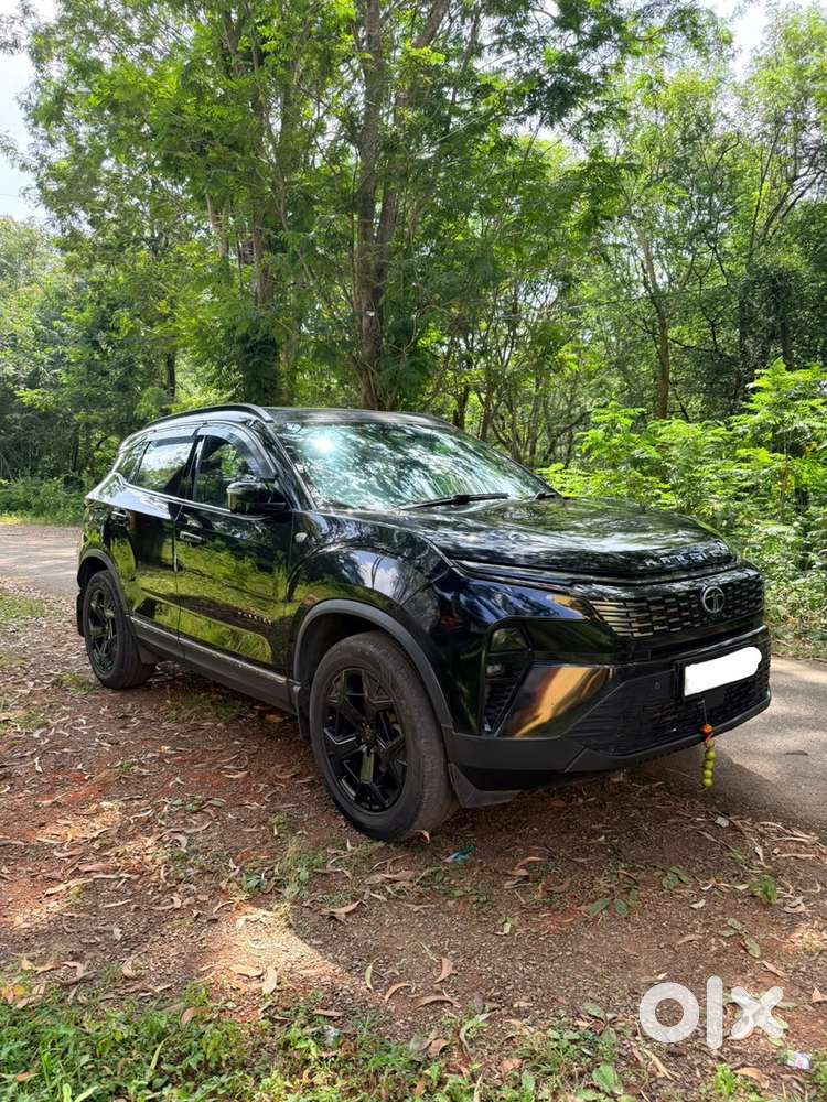 2024 Tata Harrier Diesel Automatic Year
