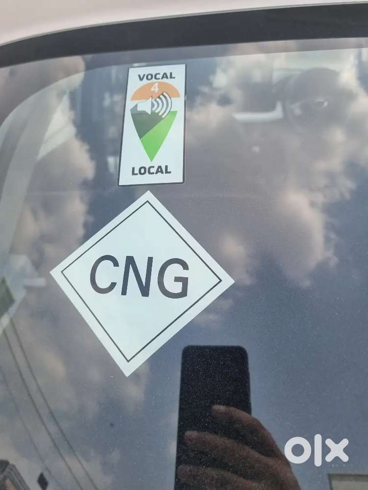 Tata Punch 2025 Cng & Hybrids 24500 Km Driven