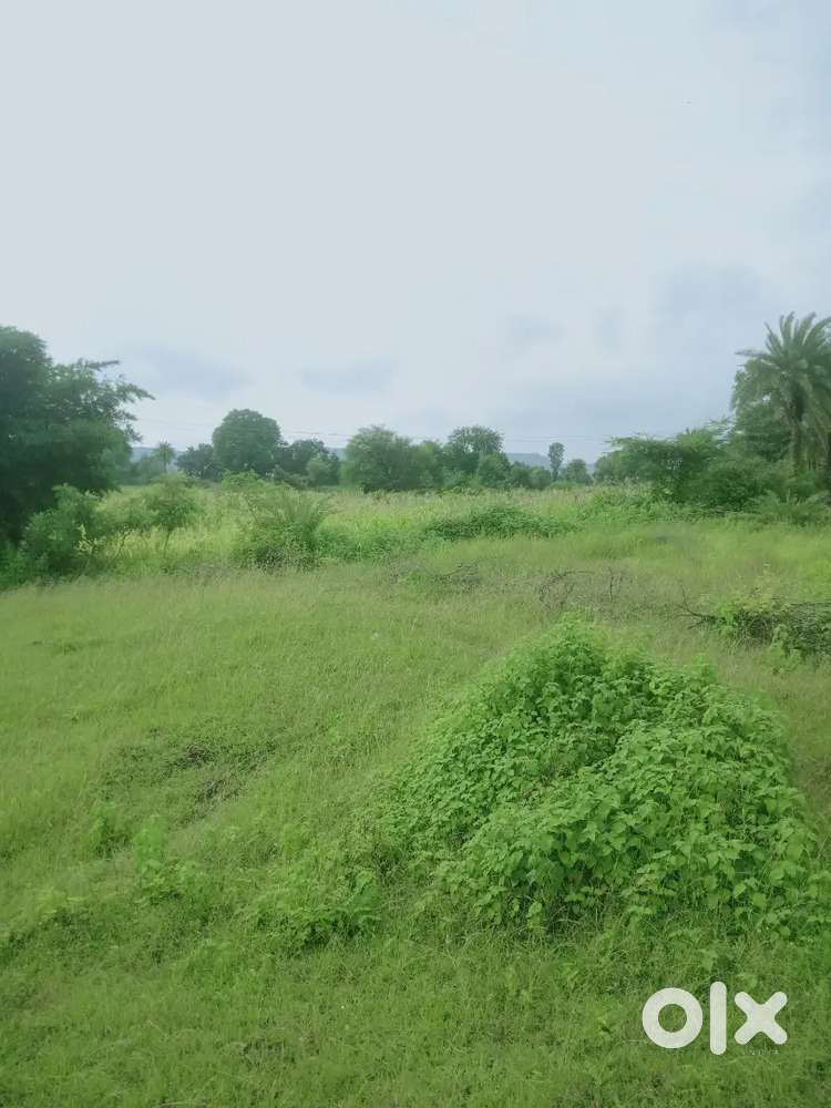 Urgent sell 16 bigha khet kam rs.
