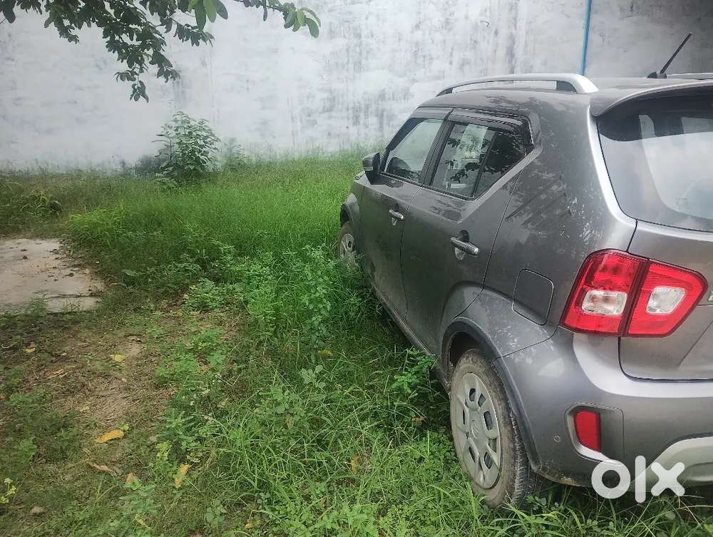 Maruti Suzuki Ignis 2024