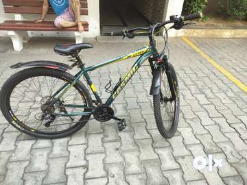 Cosmic lynx 29 price clearance