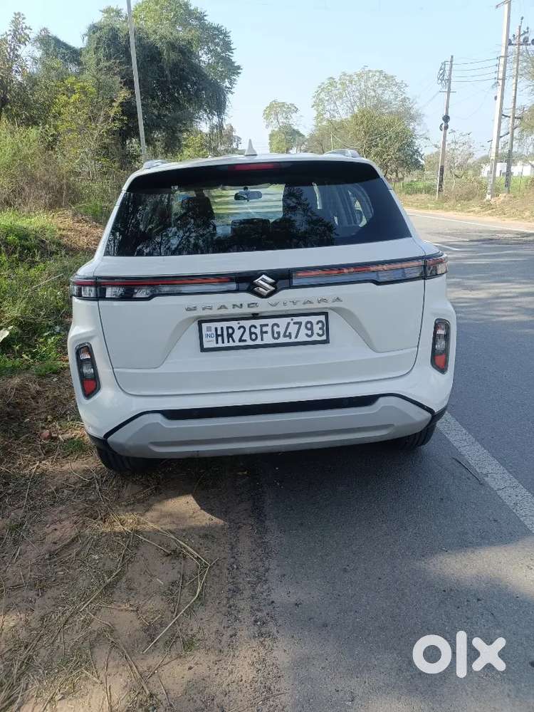 Grand Vitara Delta Company Cng 2024 Model