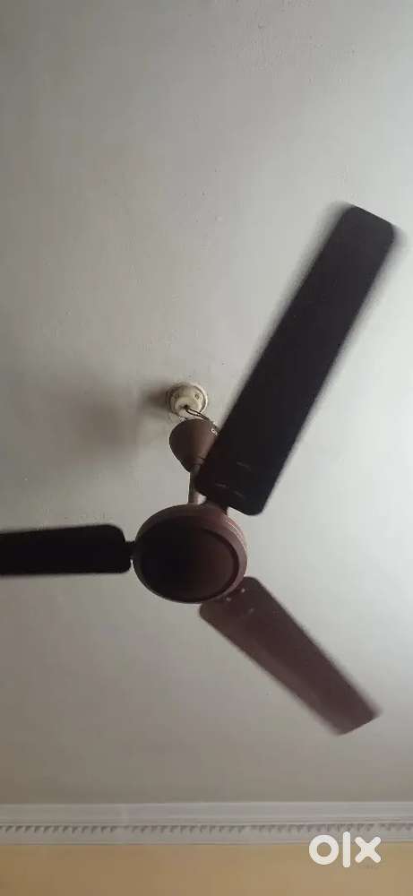 Ceiling fan