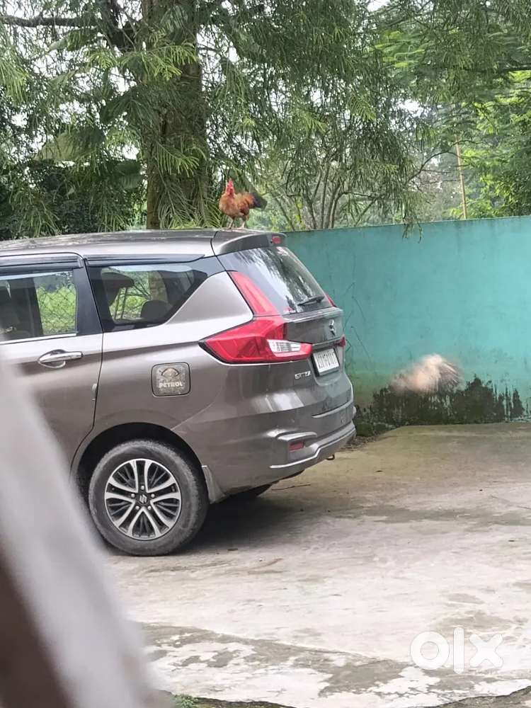 Maruti Suzuki Brezza Hybrid 2021