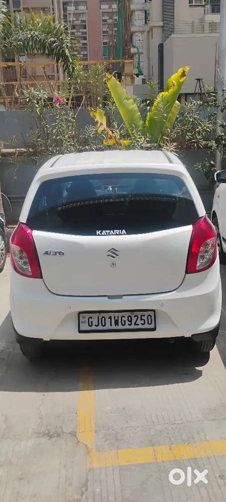 Maruti Suzuki Alto 800 Lxi(o) Model 7/9/2022 Petrol 15000 Km Driven