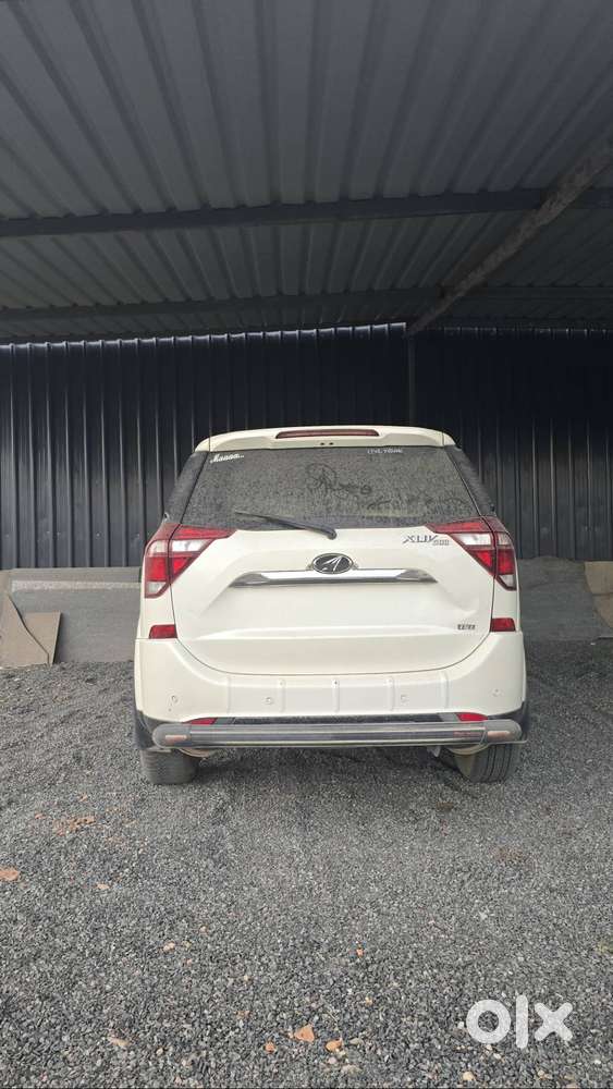 2019 Model