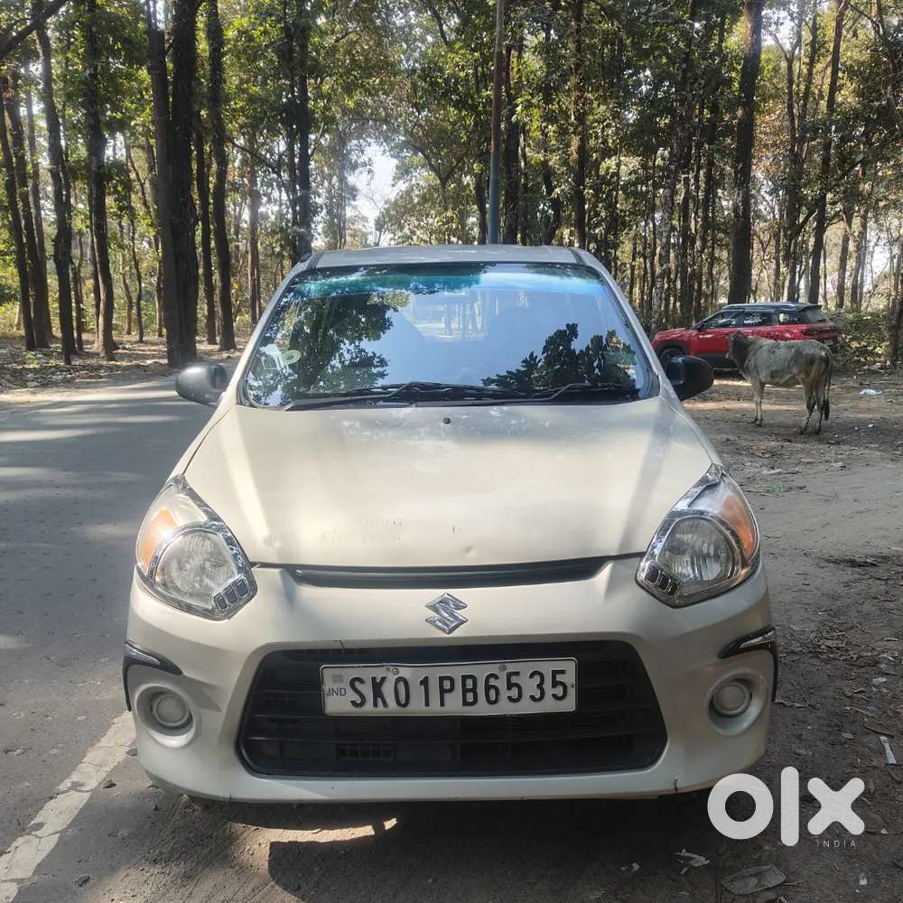 Maruti Suzuki Alto 800 2018 Petrol 47000 Km Driven