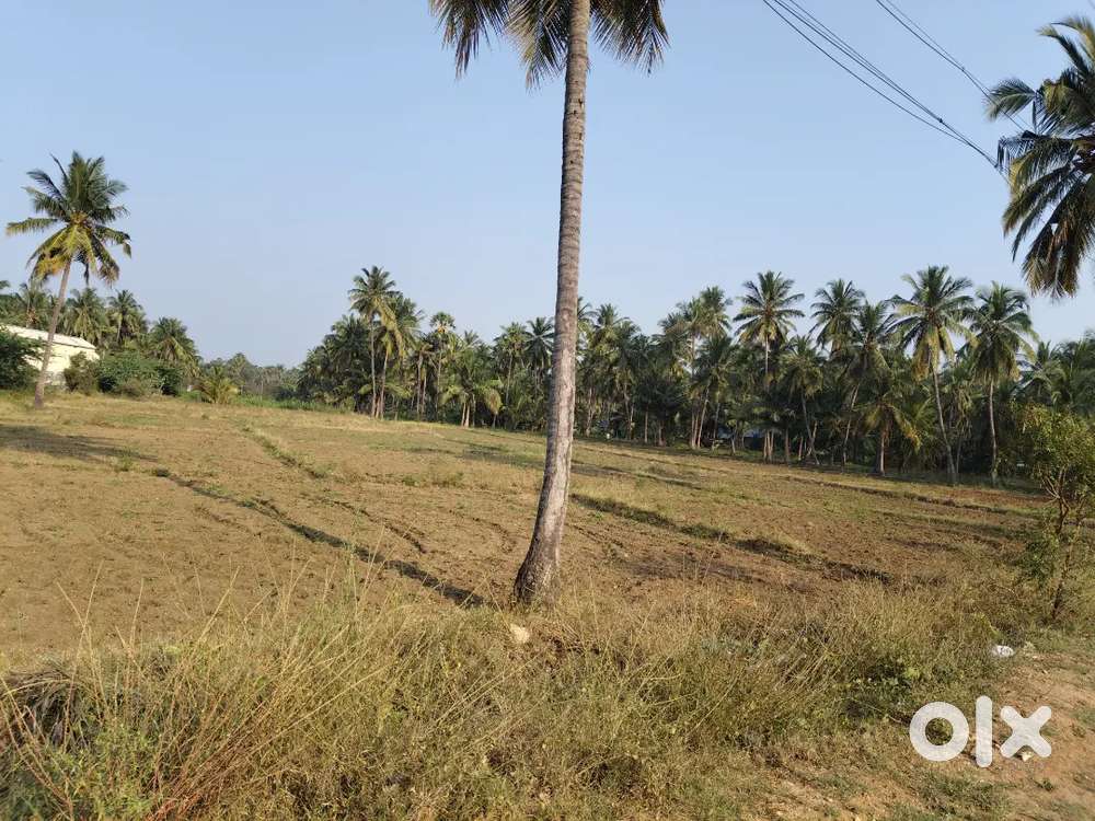மொடக்குறிச்சி அருகே 5.5 ஏக்கர் விவசாய நிலம் விற்பனை - Lands & Plots in ...