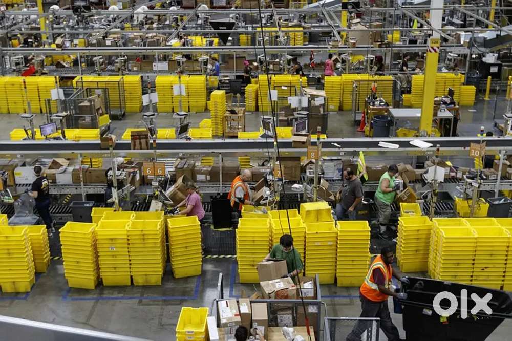 Hiring freshers for picking packing pilling and scanning jobs Other