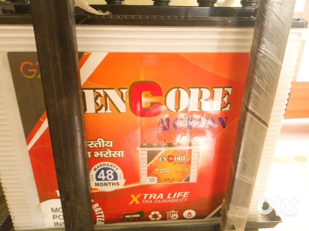 Inverter battery